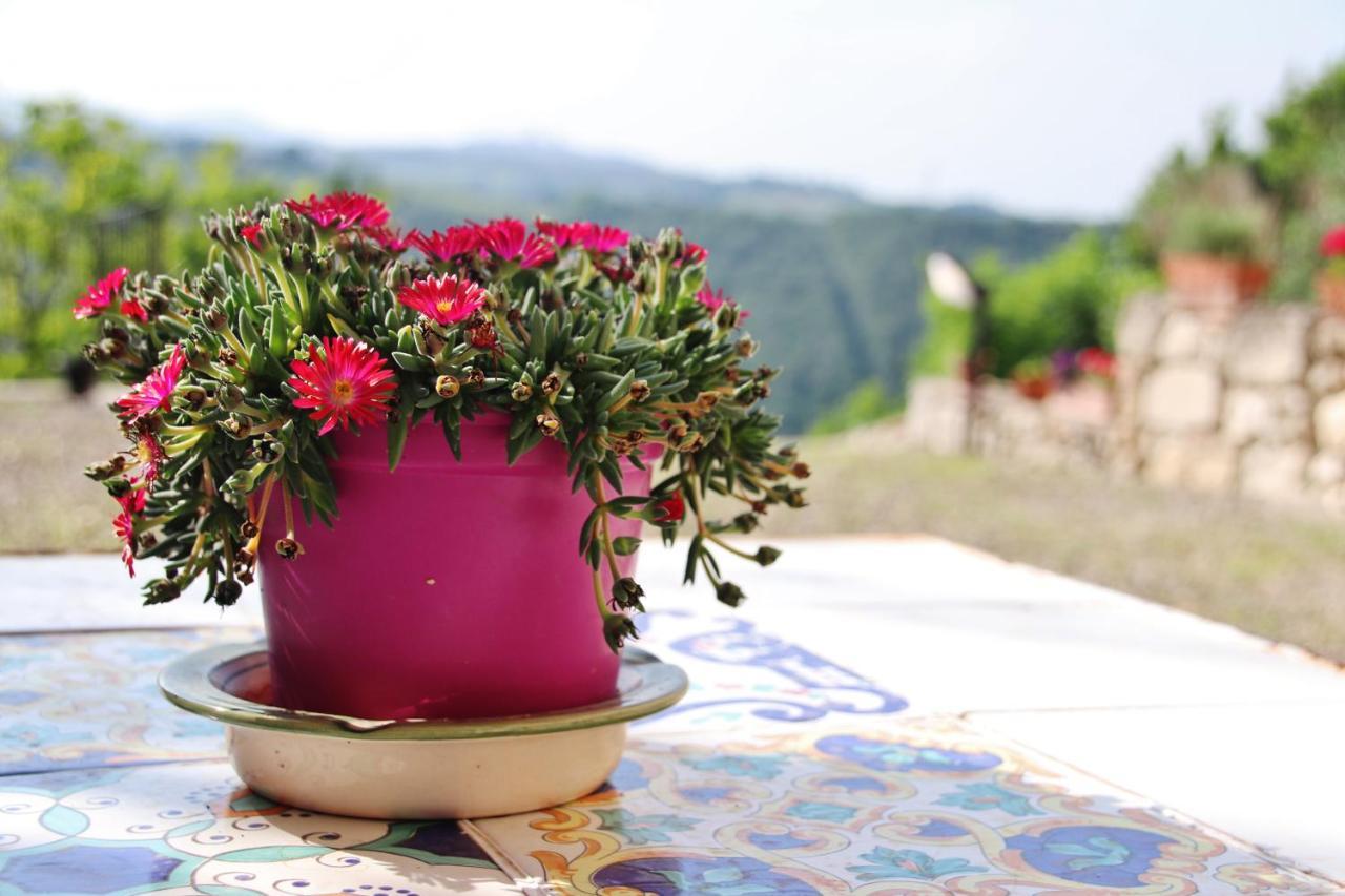 Maison Del Borgo Colle Val D'Elsa Εξωτερικό φωτογραφία